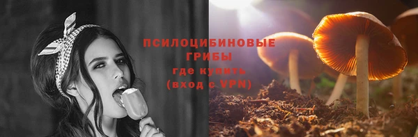 тгк Горнозаводск