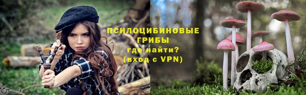 тгк Горнозаводск
